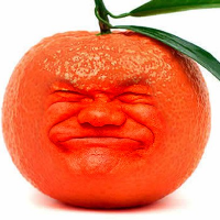 huehue-tangerine