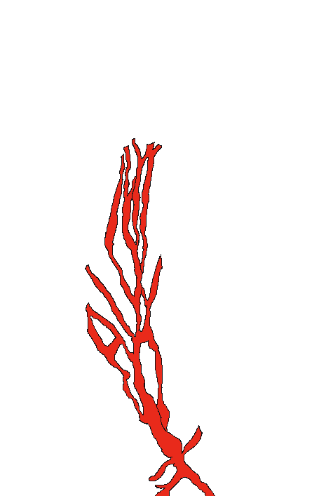redfill