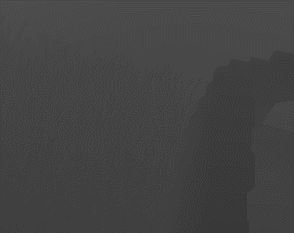 grassDepth
