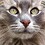 catwihlonghair