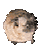 gamerdeveloper