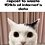 onyxmeow